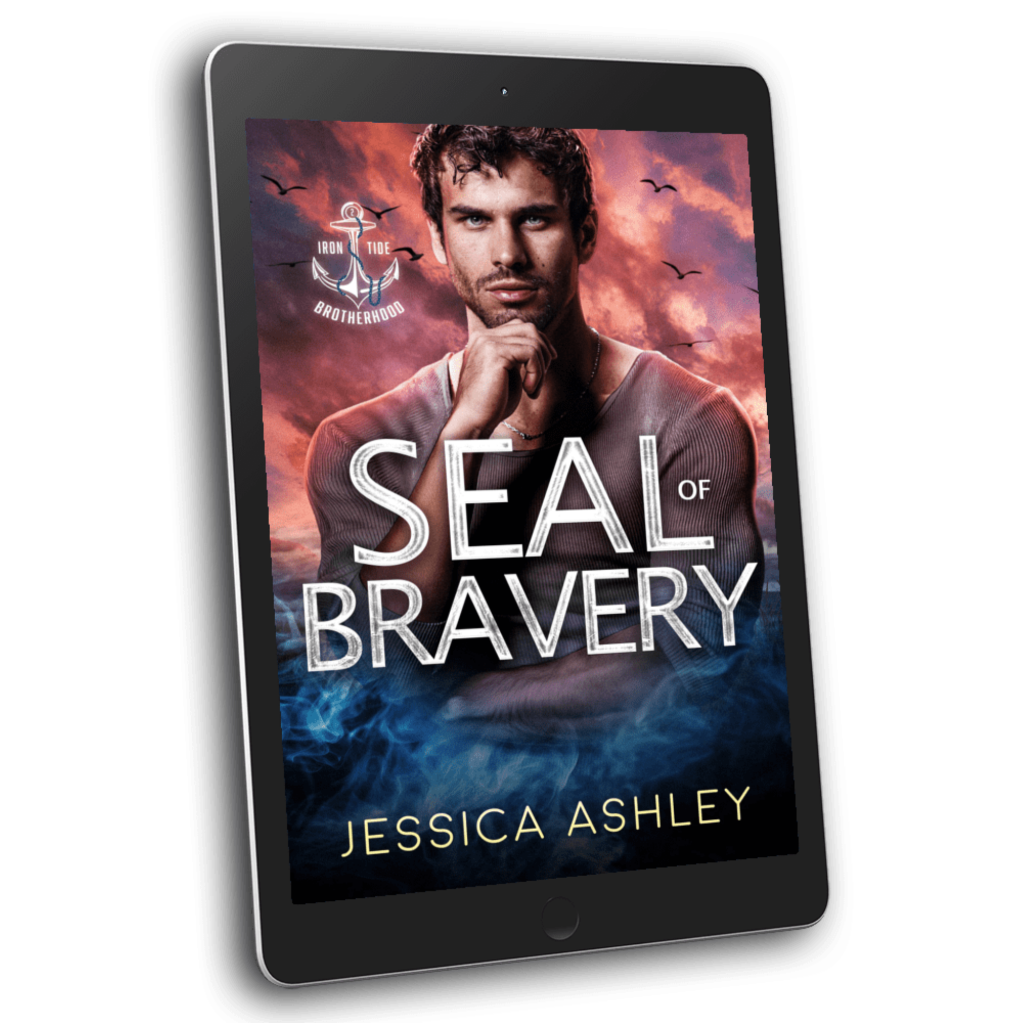 SEAL of Bravery 3D eBook Christian Romantic Suspense