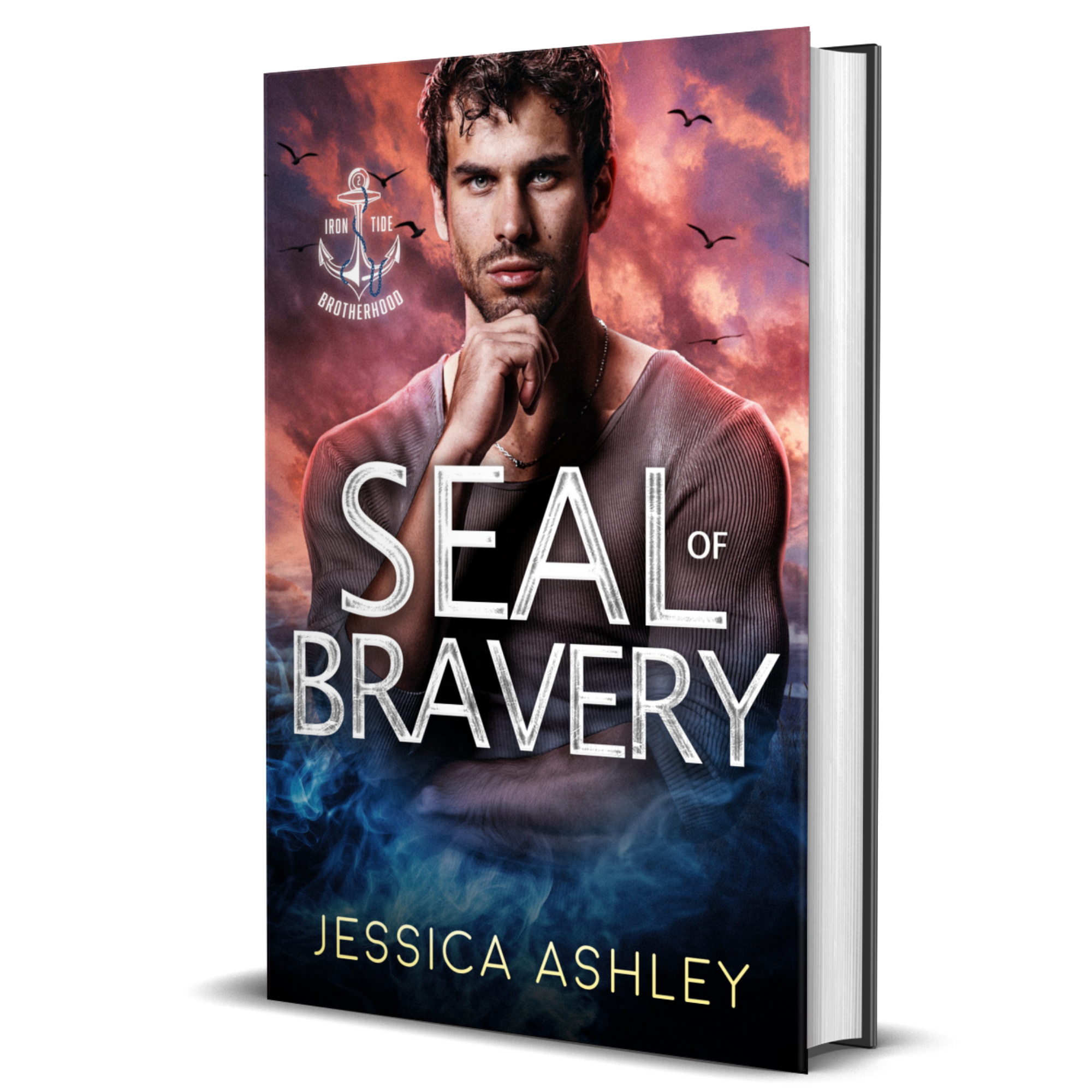 SEAL of Bravery 3D hardcover Christian Romantic Suspense