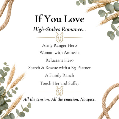 Text describing a high-stakes romance genre with decorative elements on a white background