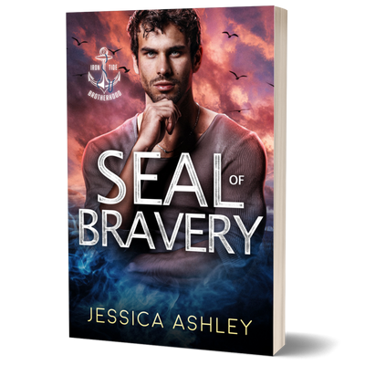 SEAL of Bravery 3D paperback Christian Romantic Suspense