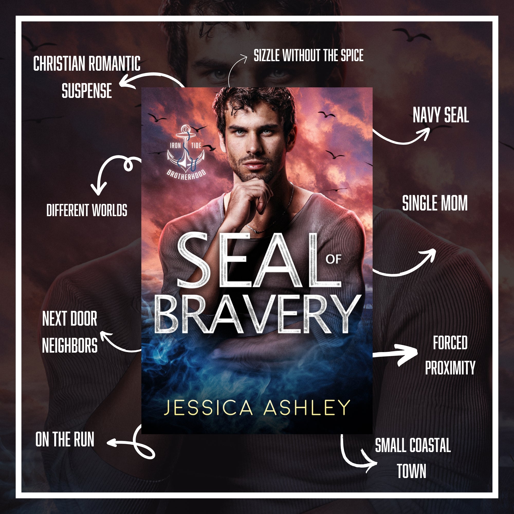 SEAL of Bravery Tropes Christian Romantic Suspense Navy SEAL romance