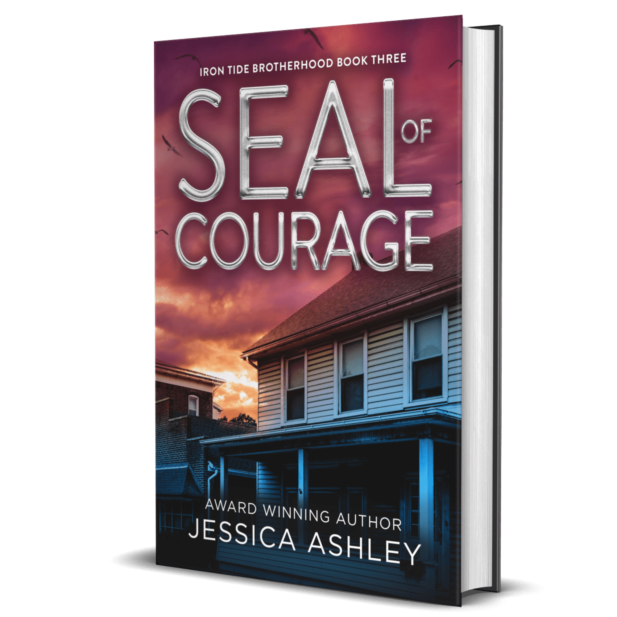 SEAL of Courage Alternate Cover Hardback Christian Romantic Suspense