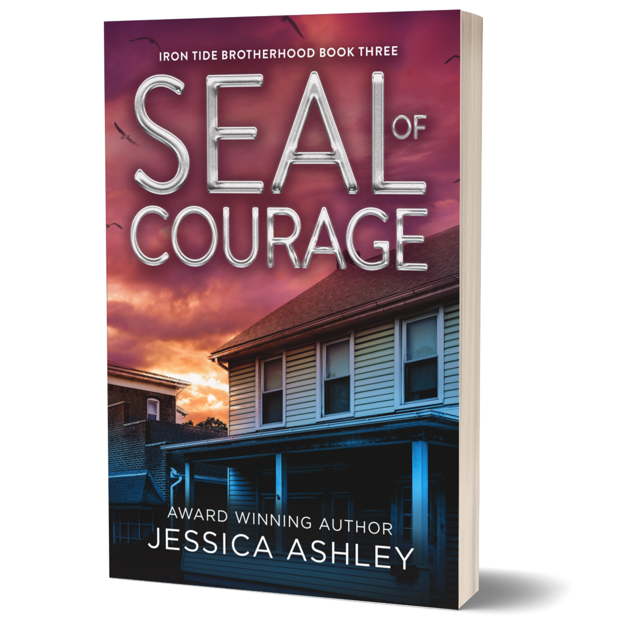SEAL of Courage Alternate Cover Christian romance