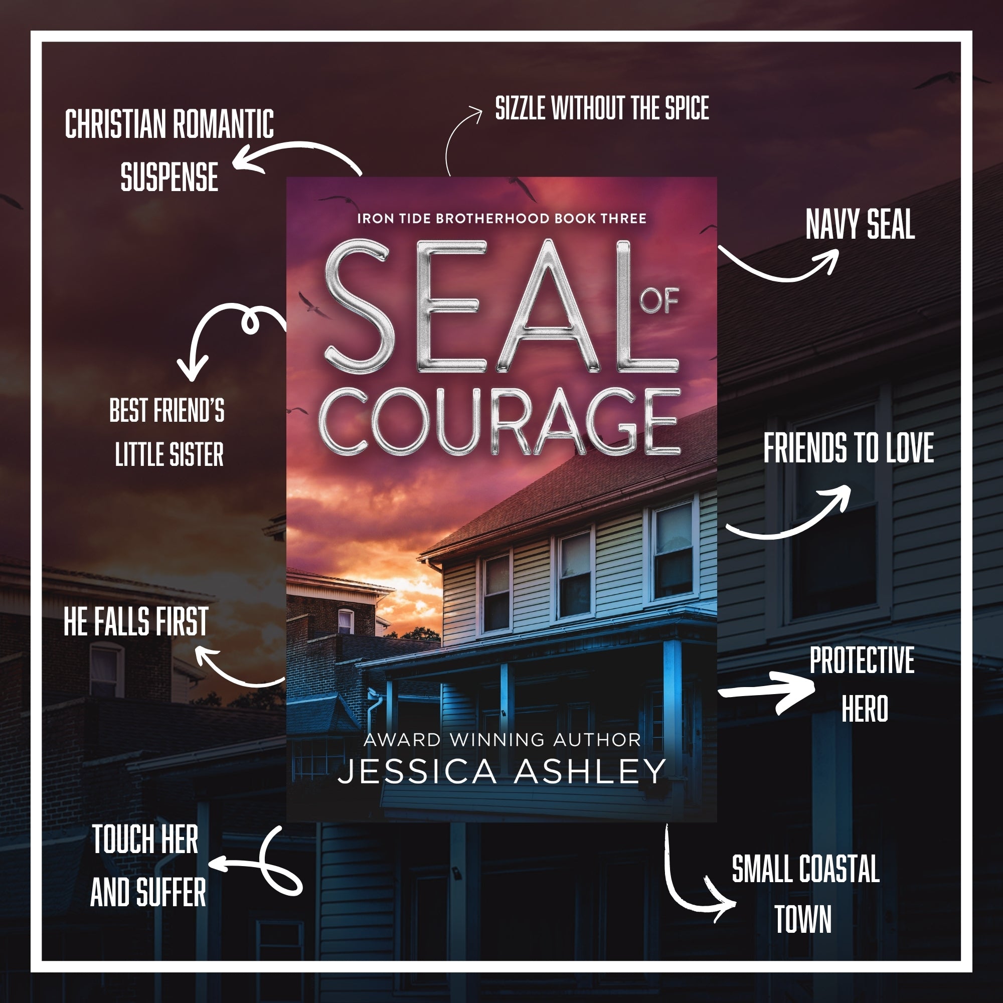 SEAL of Courage Alternate Cover Tropes Navy SEAL protective hero small coastal town touch her and suffer vibes he falls first