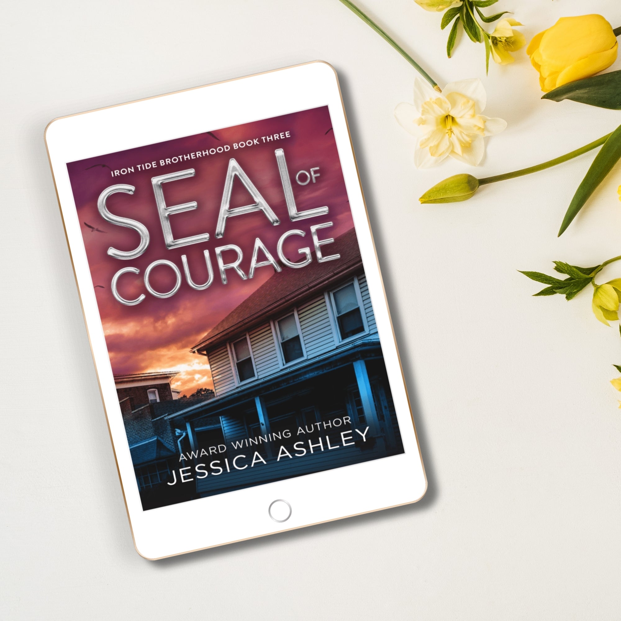 SEAL of Courage Alternate Cover best friend's younger sister romance